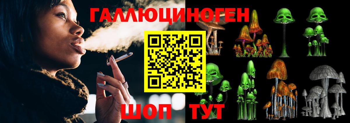 Псилоцибиновые грибы GOLDEN TEACHER Владикавказ